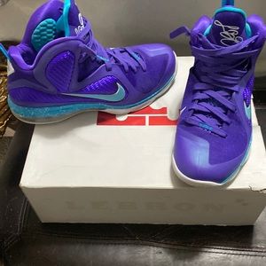 Lebron 9 summit lake hornets